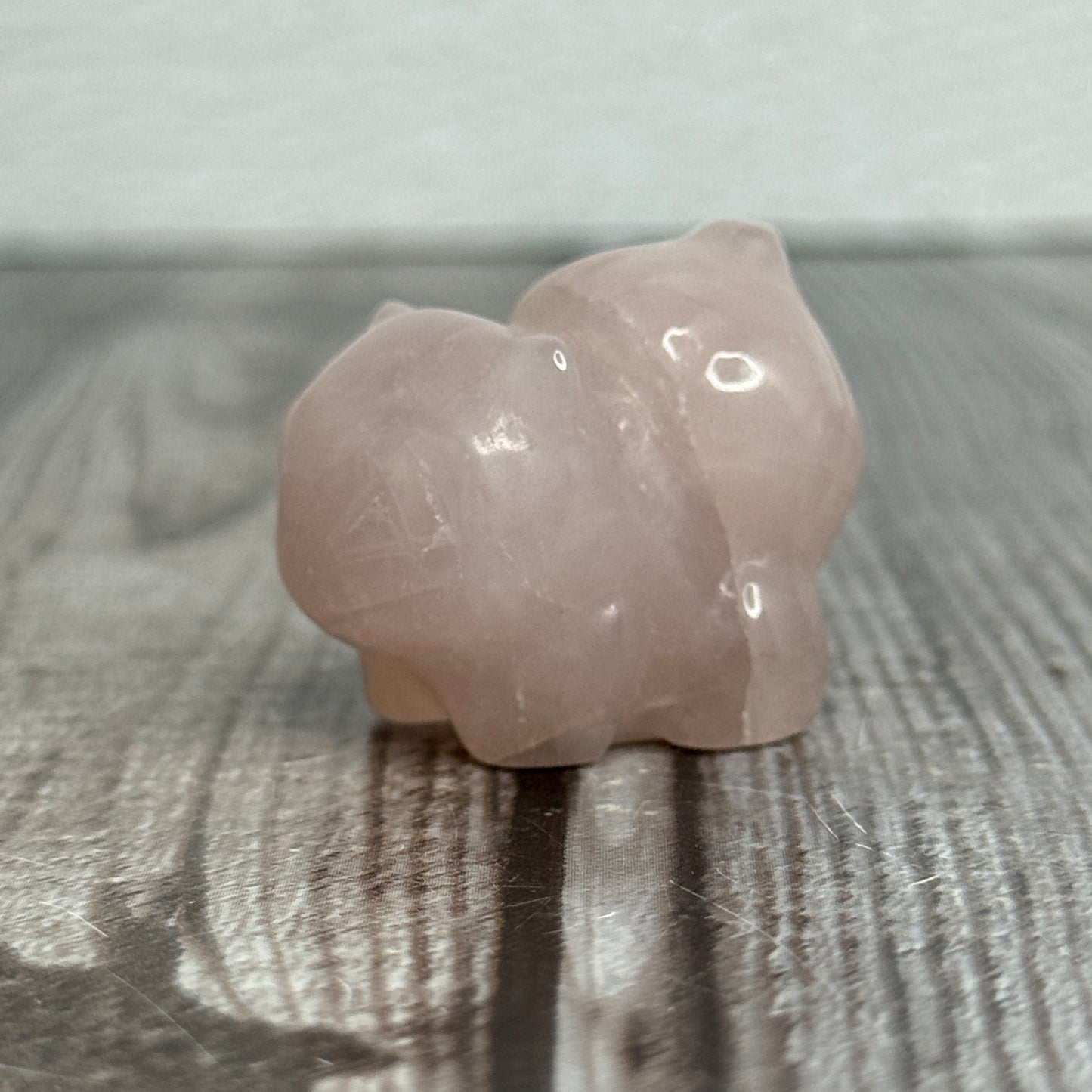 Bulbasaur Carving