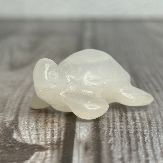 Sea Turtle