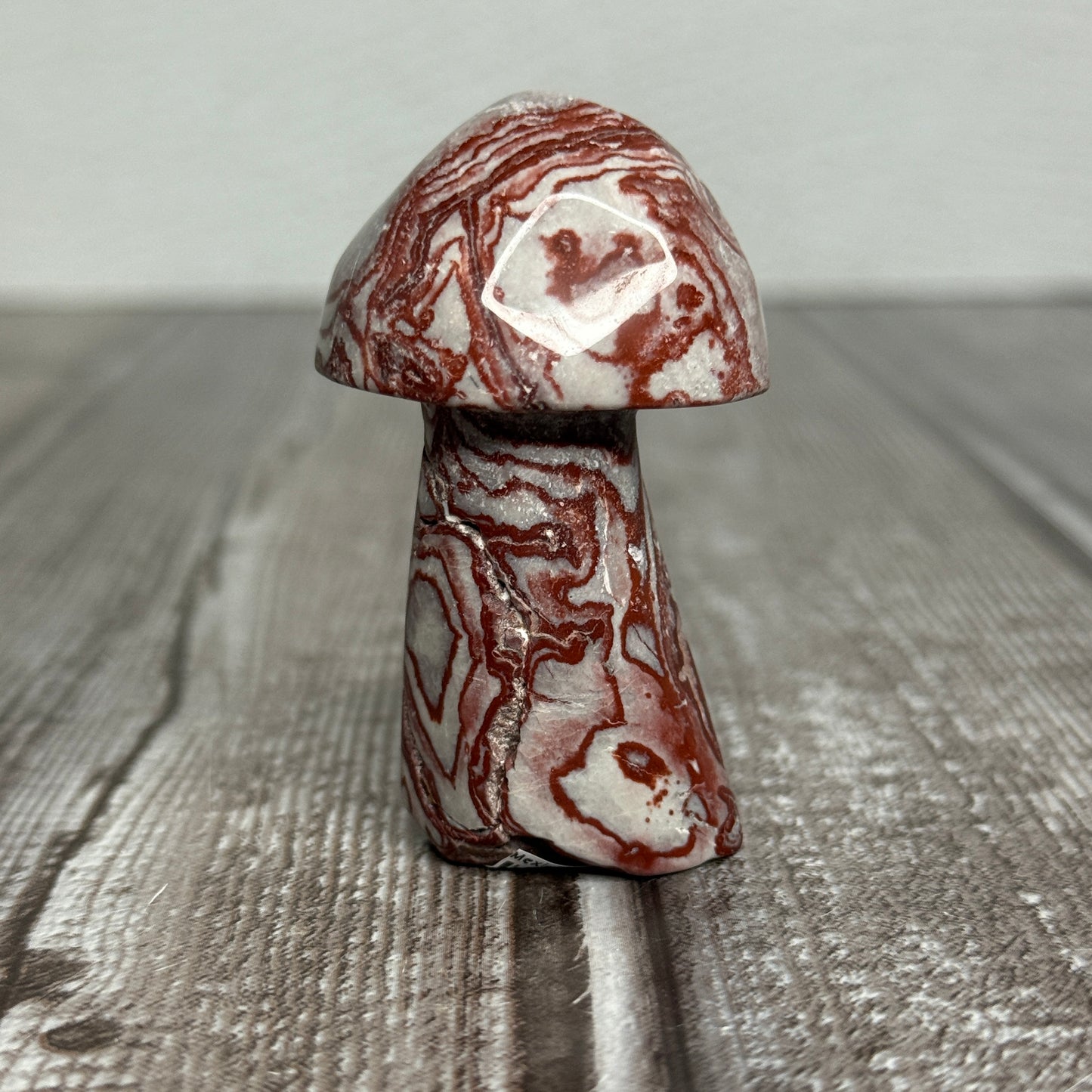 Mexican Lace Agate Mushroom