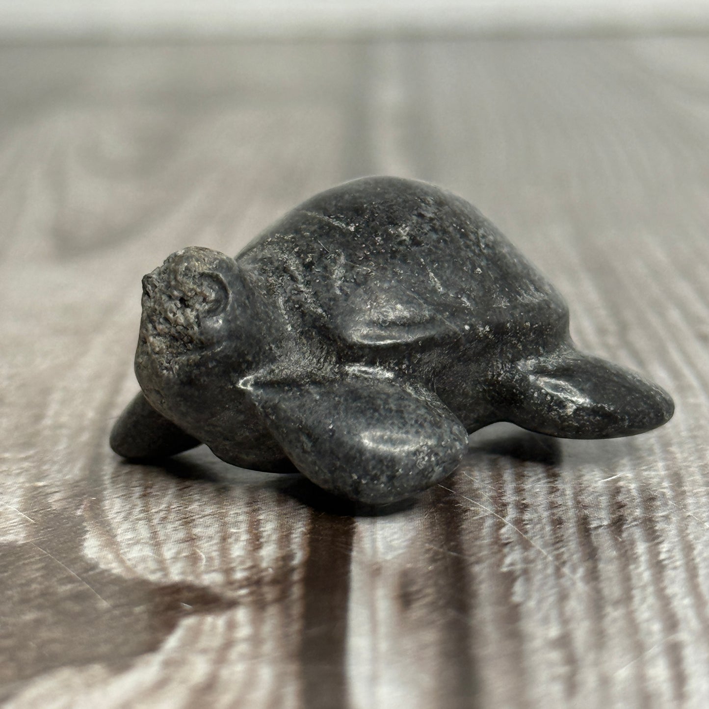 Sea Turtle