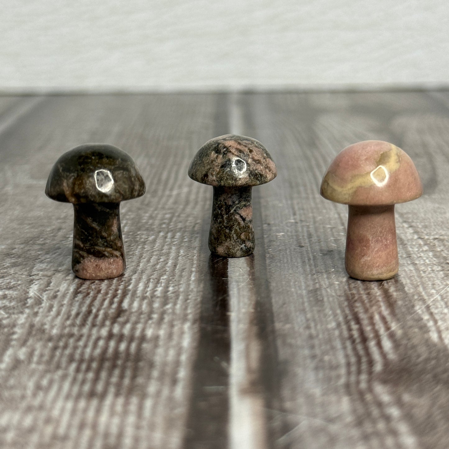 Mini Mushroom