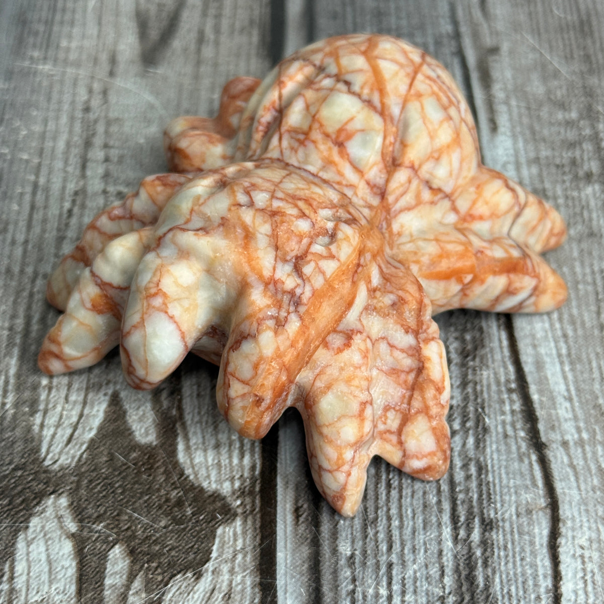 Spider Carving