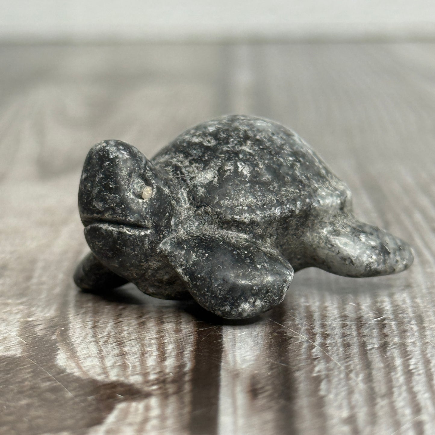 Sea Turtle