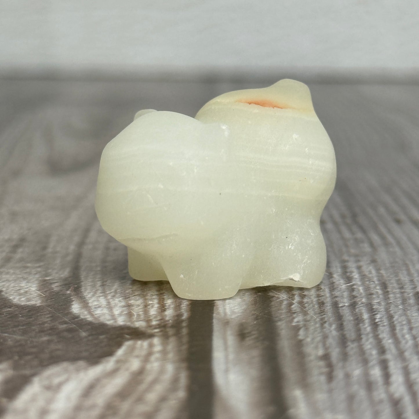 Bulbasaur Carving