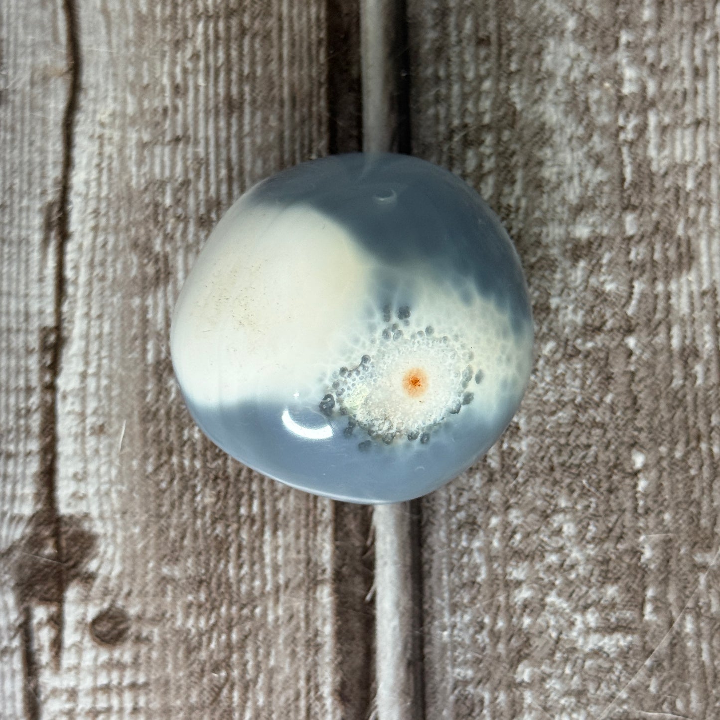 Orca Agate Palm Stone