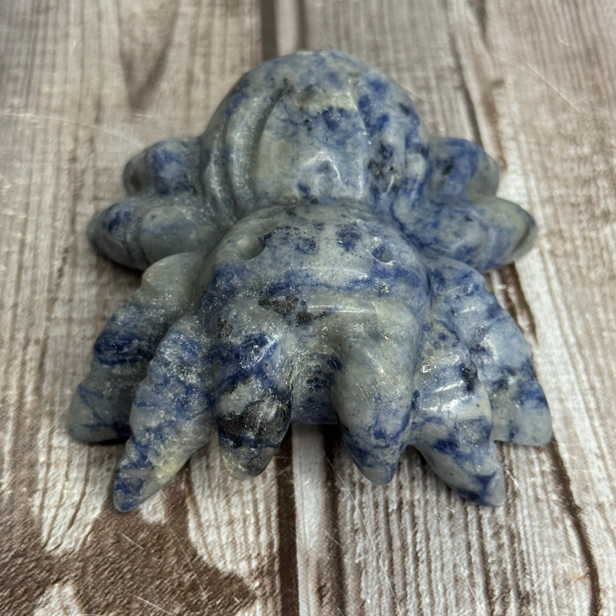 Spider Carving