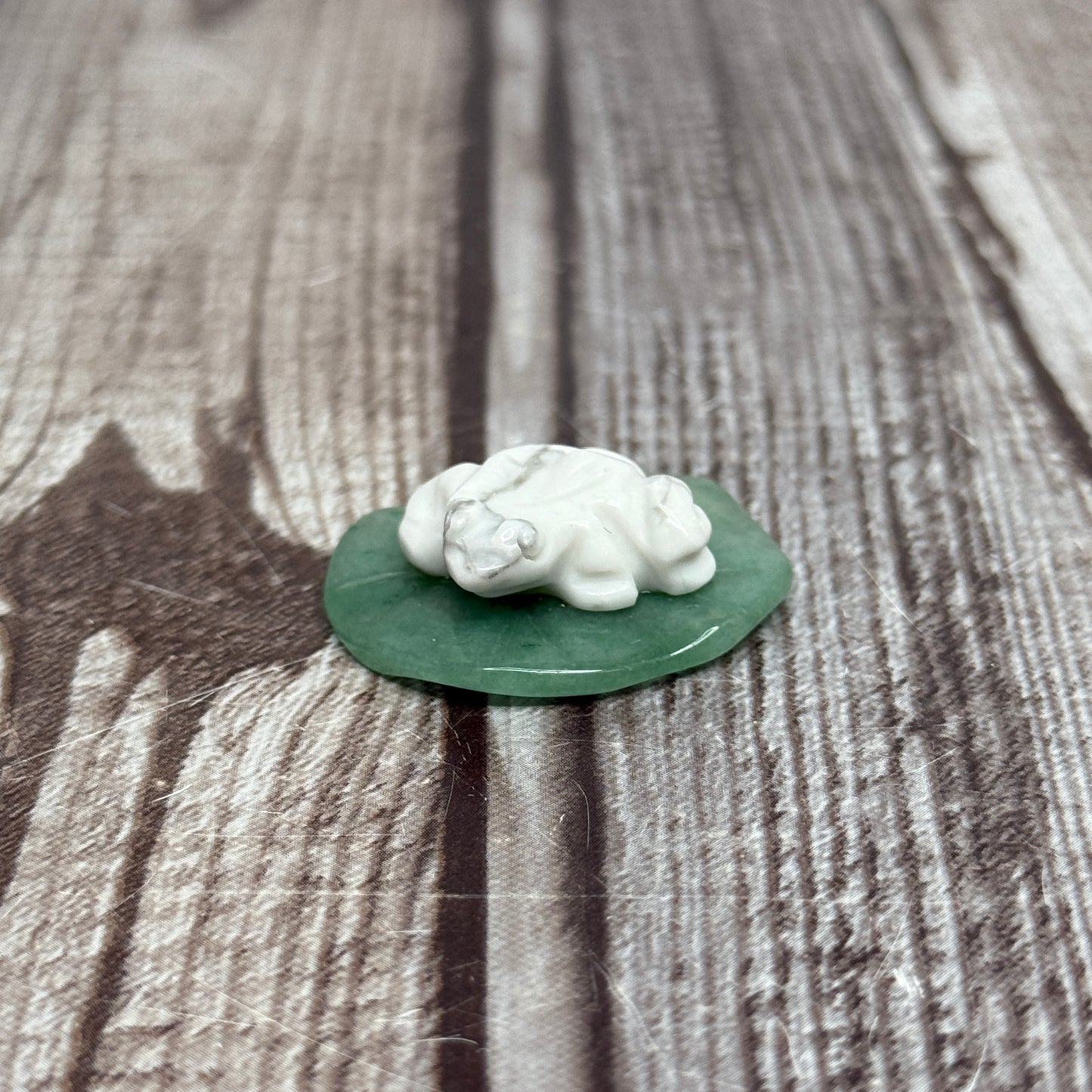Frog on a Lilypad