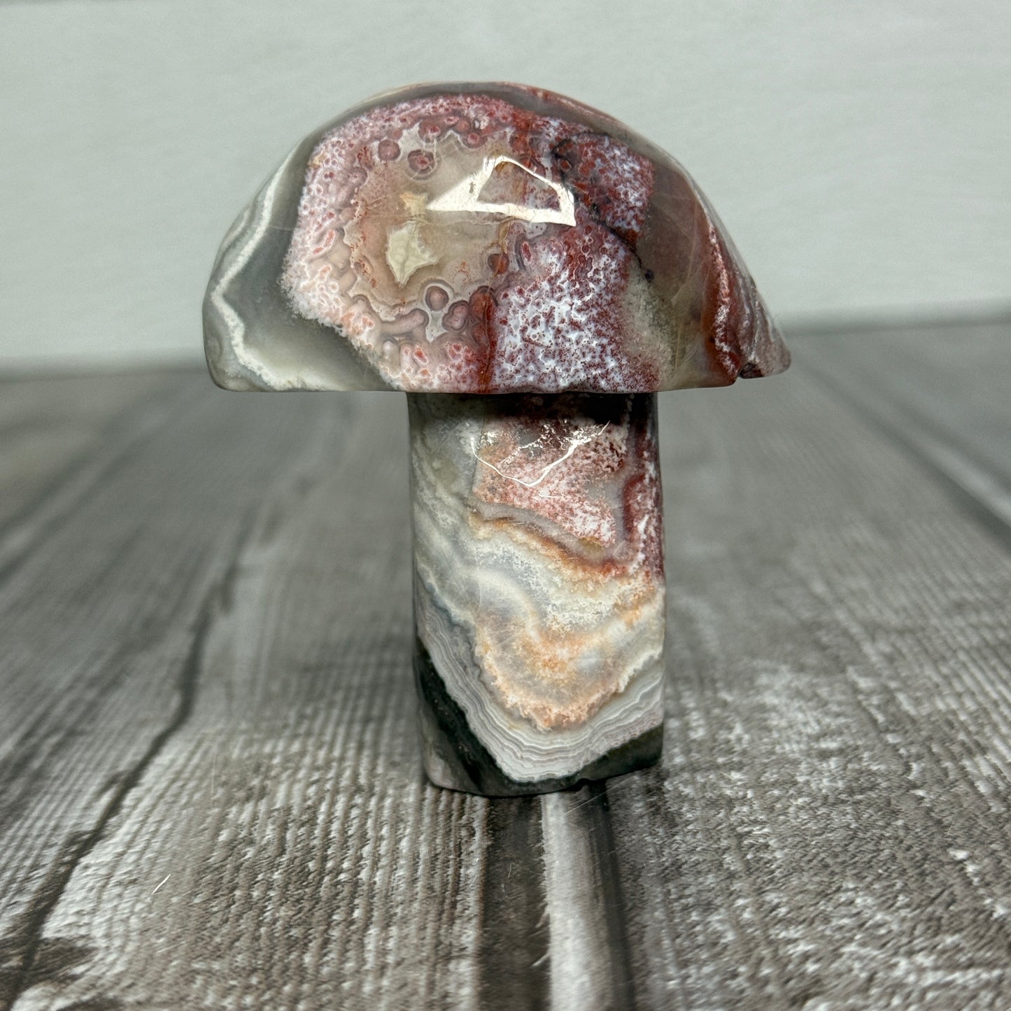 Mexican Lace Agate Mushroom