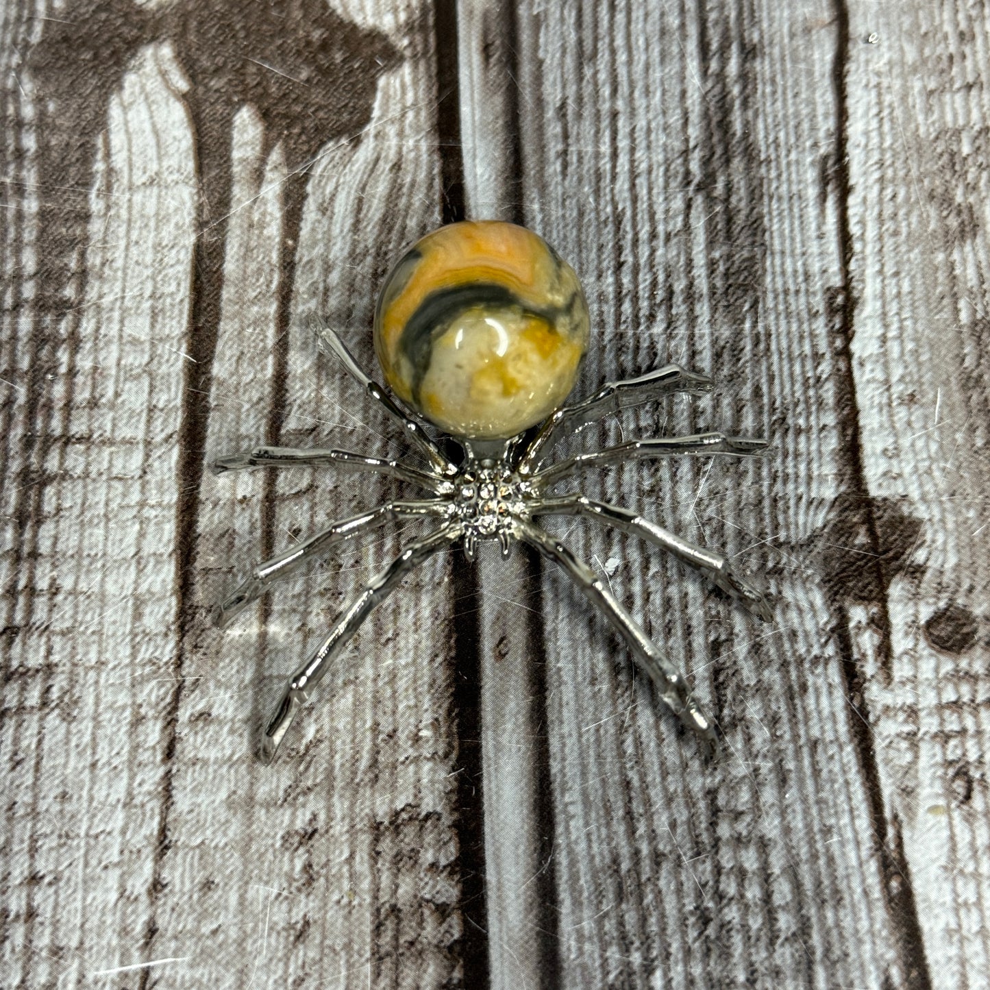 Spider