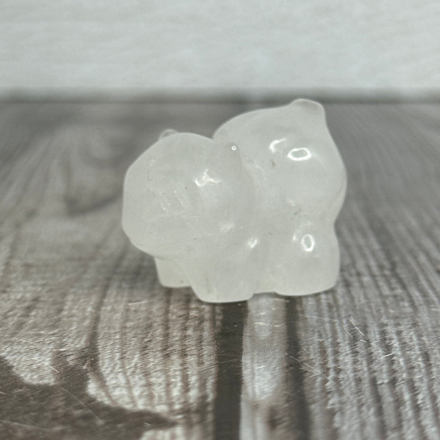 Bulbasaur Carving