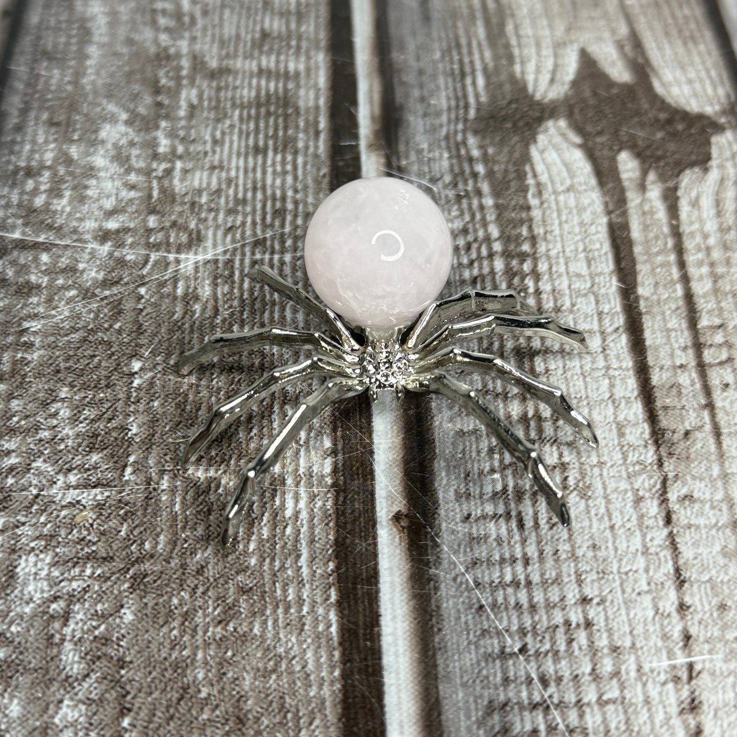 Spider