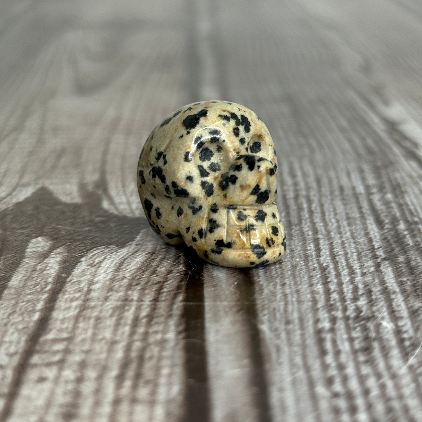 Mini Skull