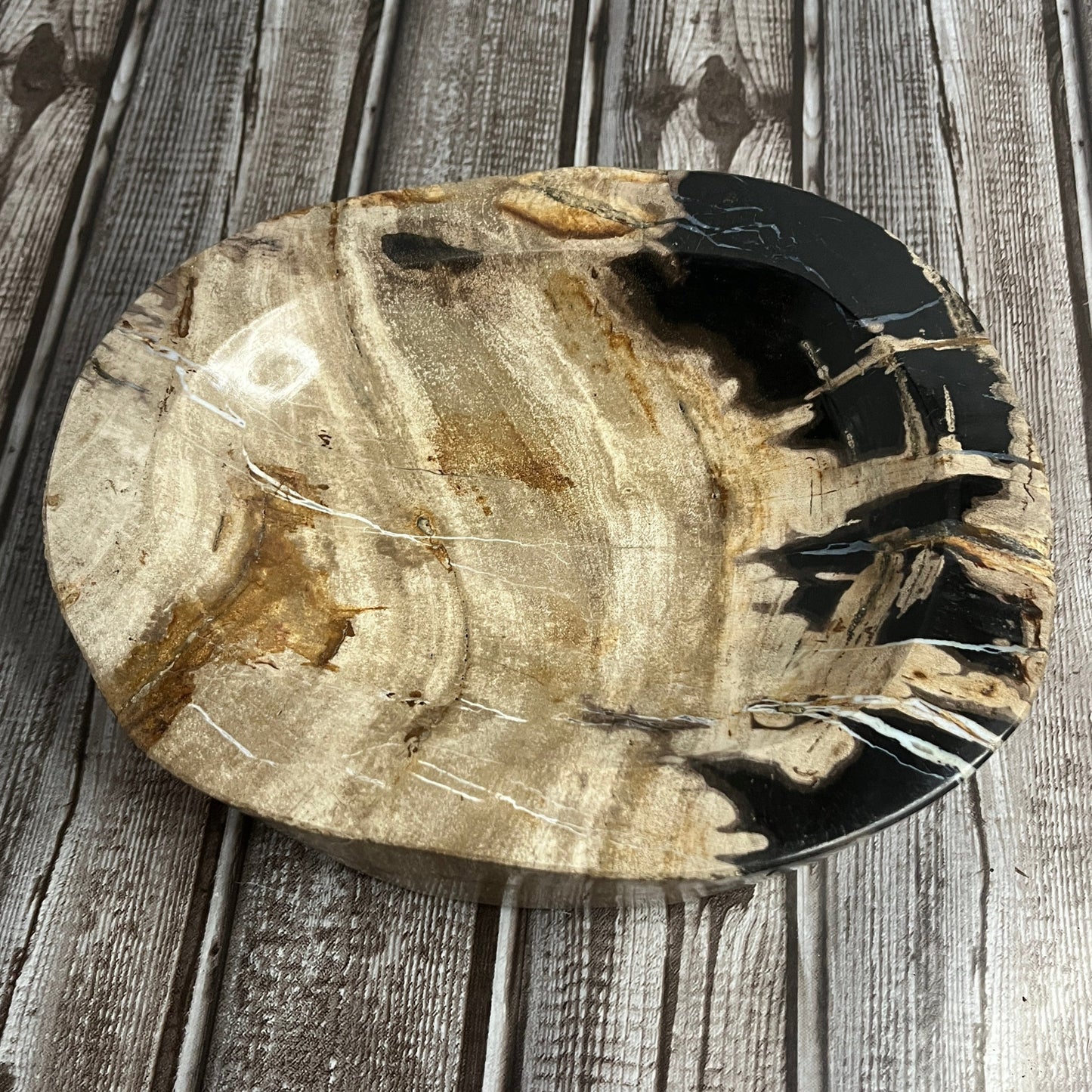Petrified Wood Bowl