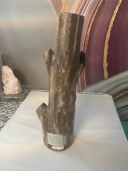 Petrified Wood Branch
