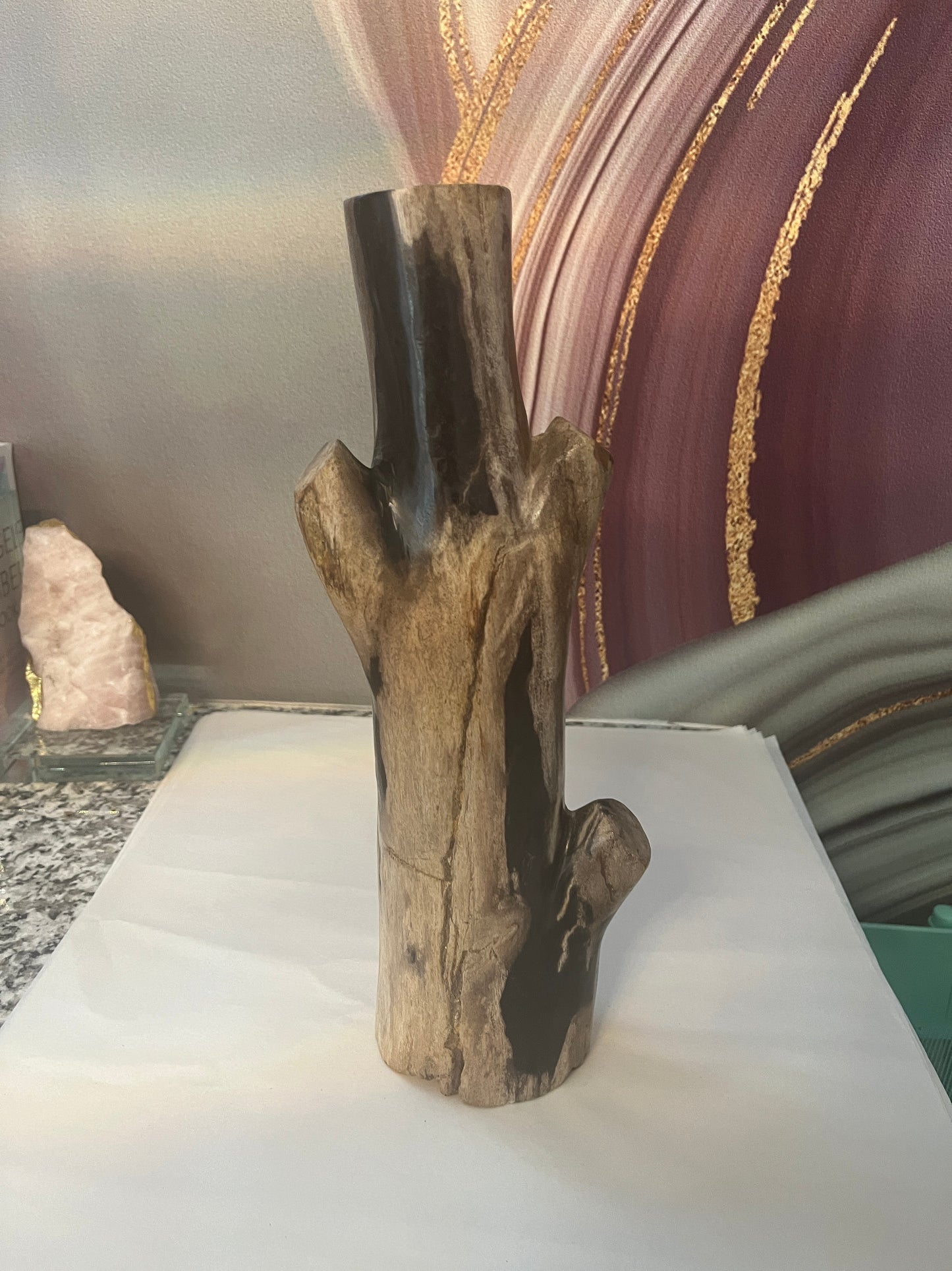 Petrified Wood Branch