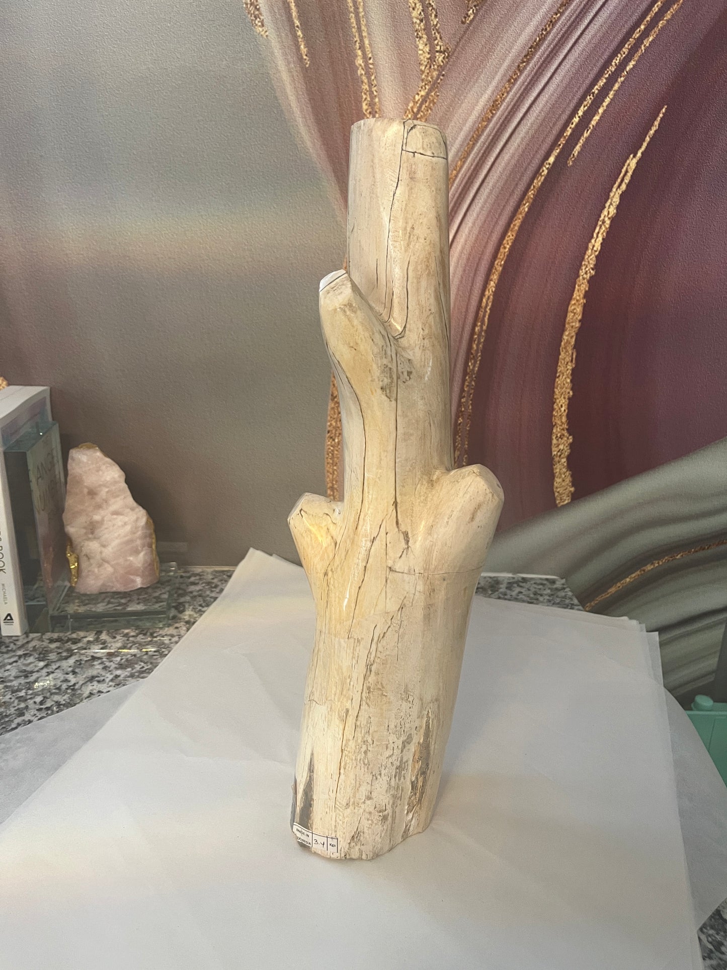 Petrified Wood Branch