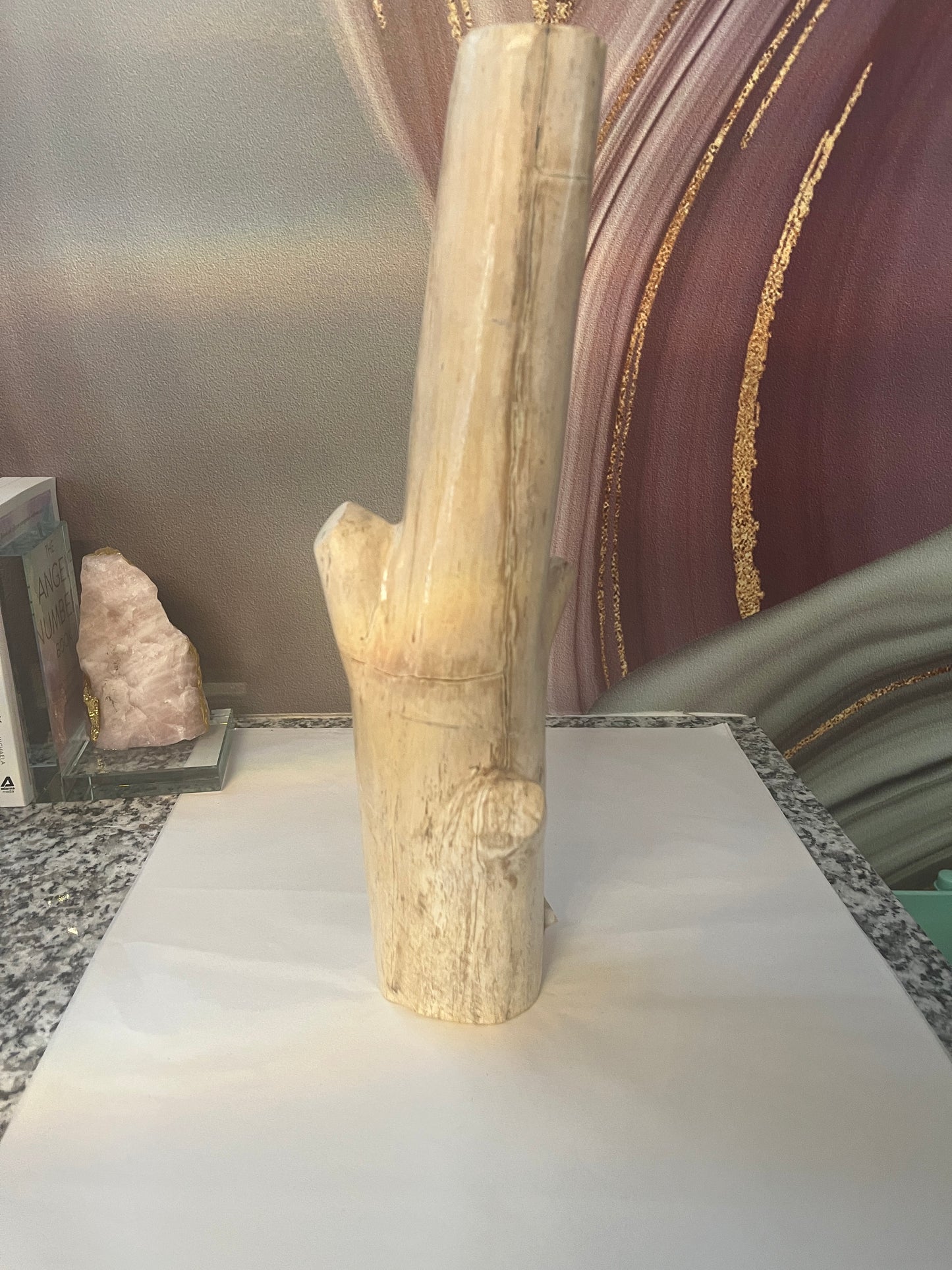 Petrified Wood Branch