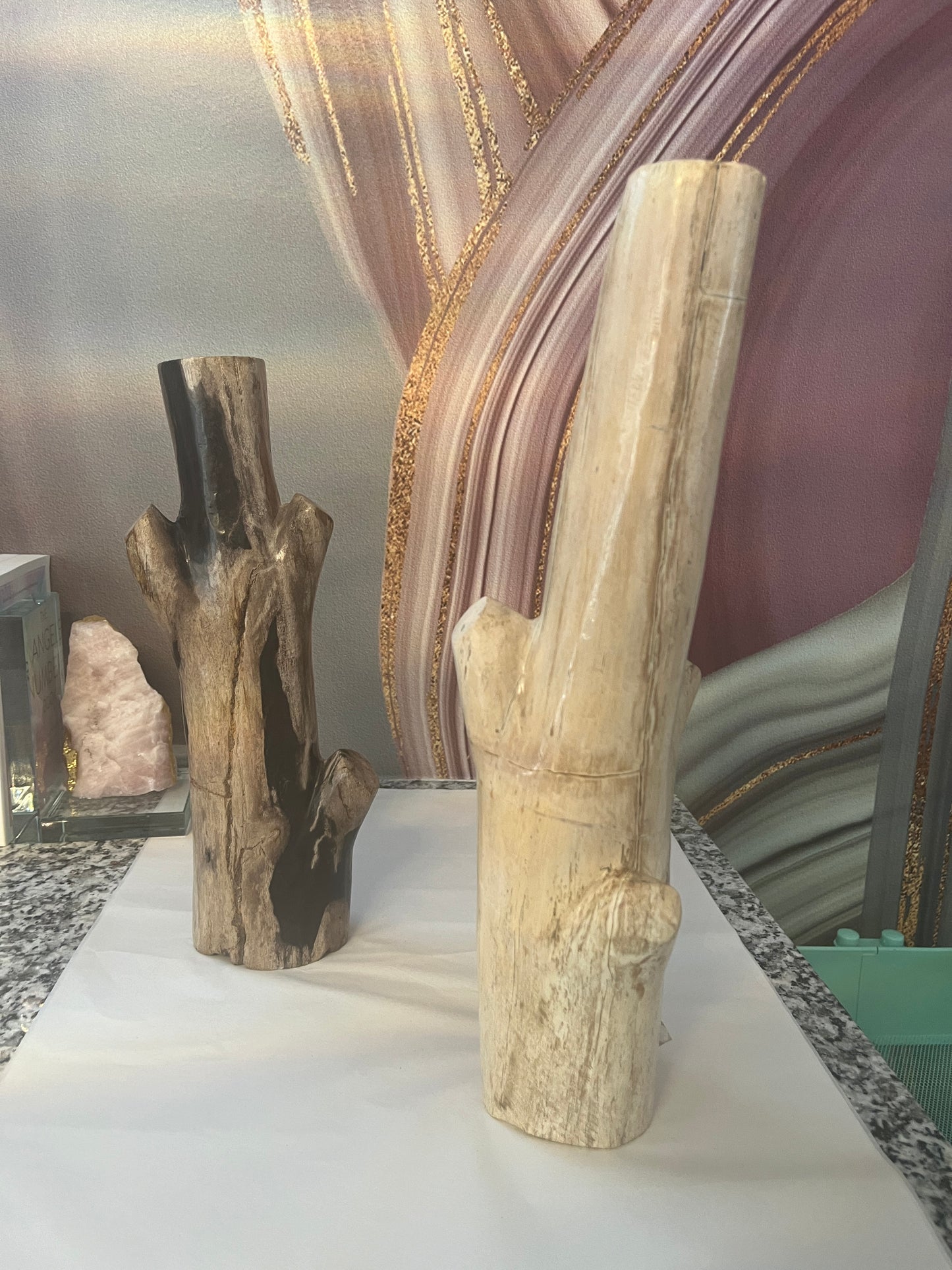 Petrified Wood Branch