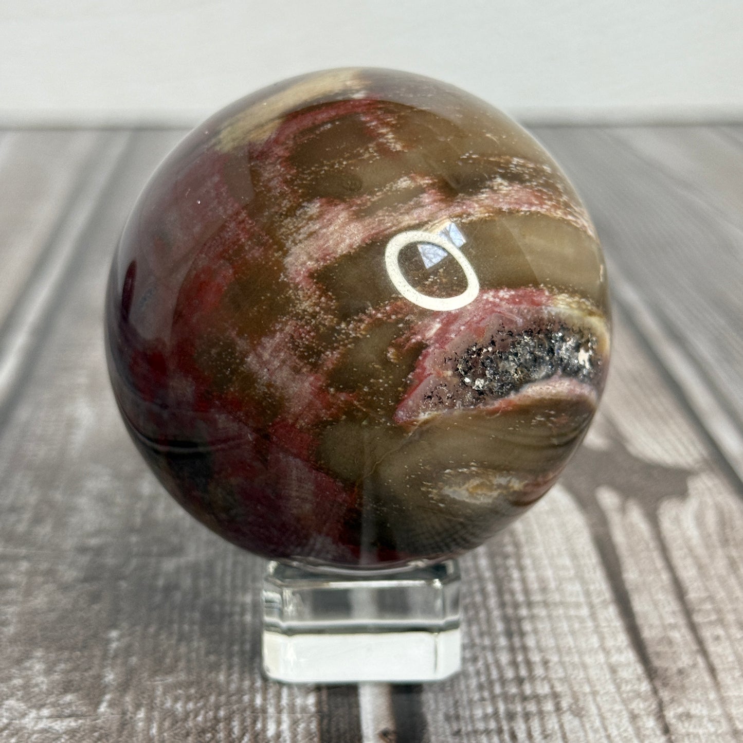 Petrified Wood Sphere
