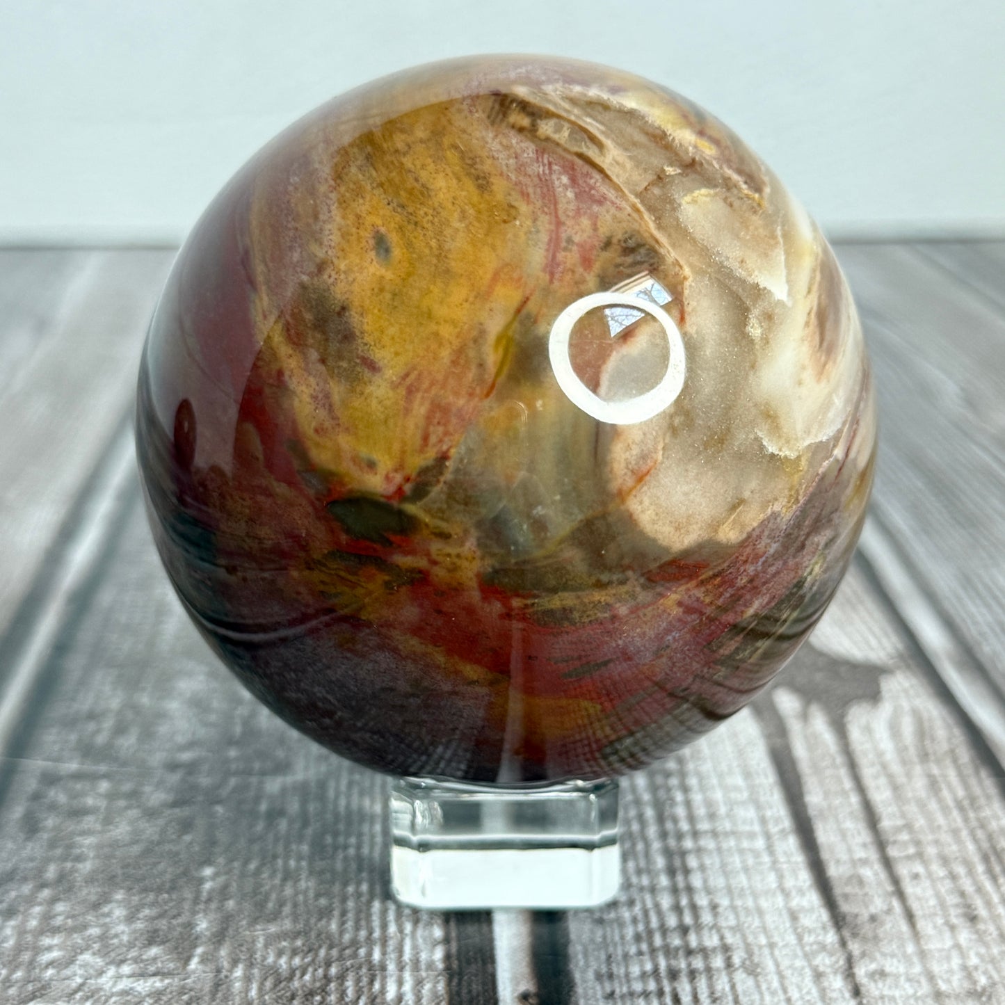 Petrified Wood Sphere