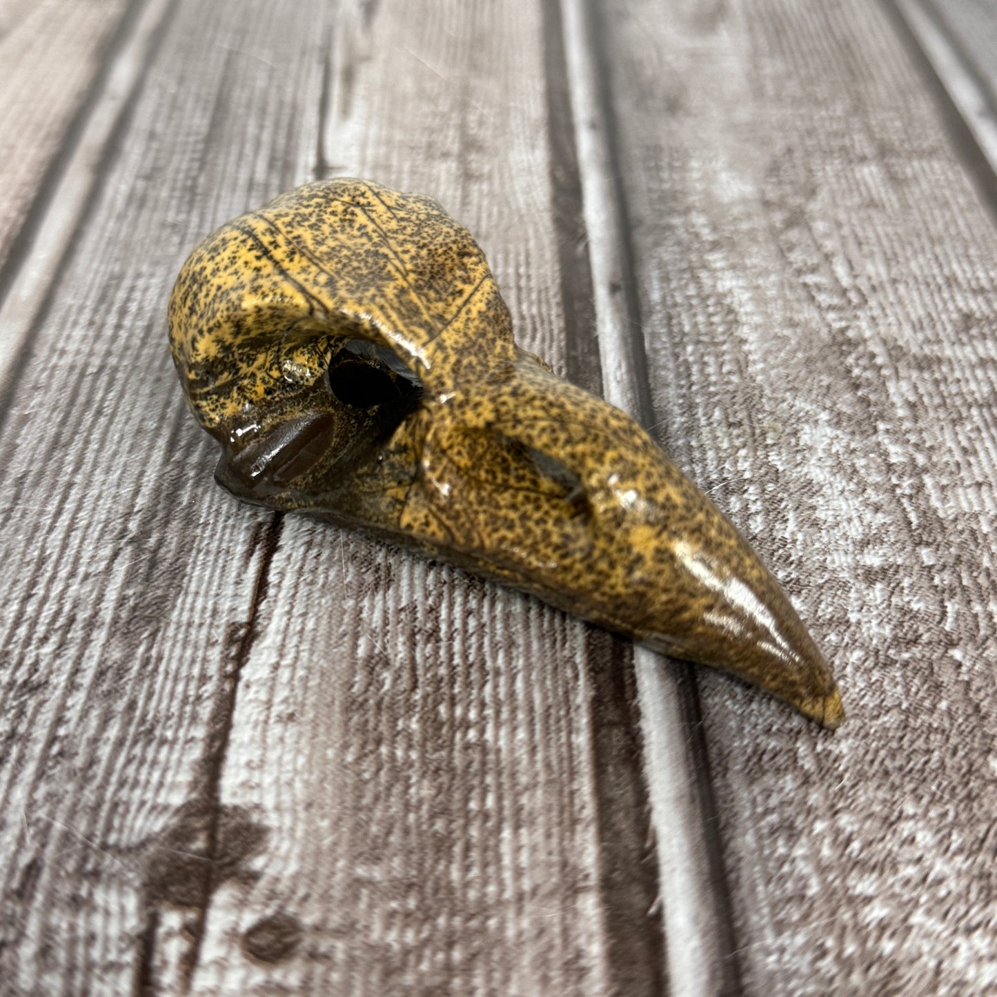 Picture Jasper Raven Skull