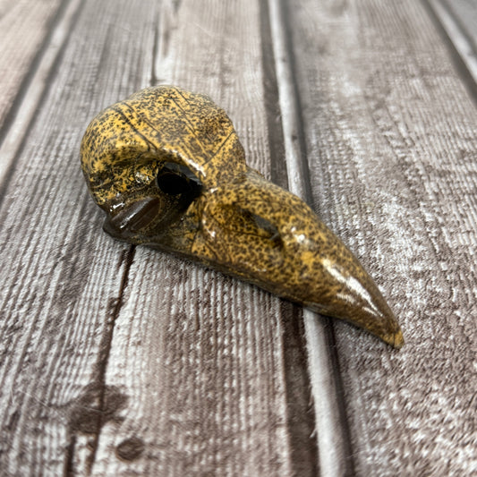 Picture Jasper Raven Skull