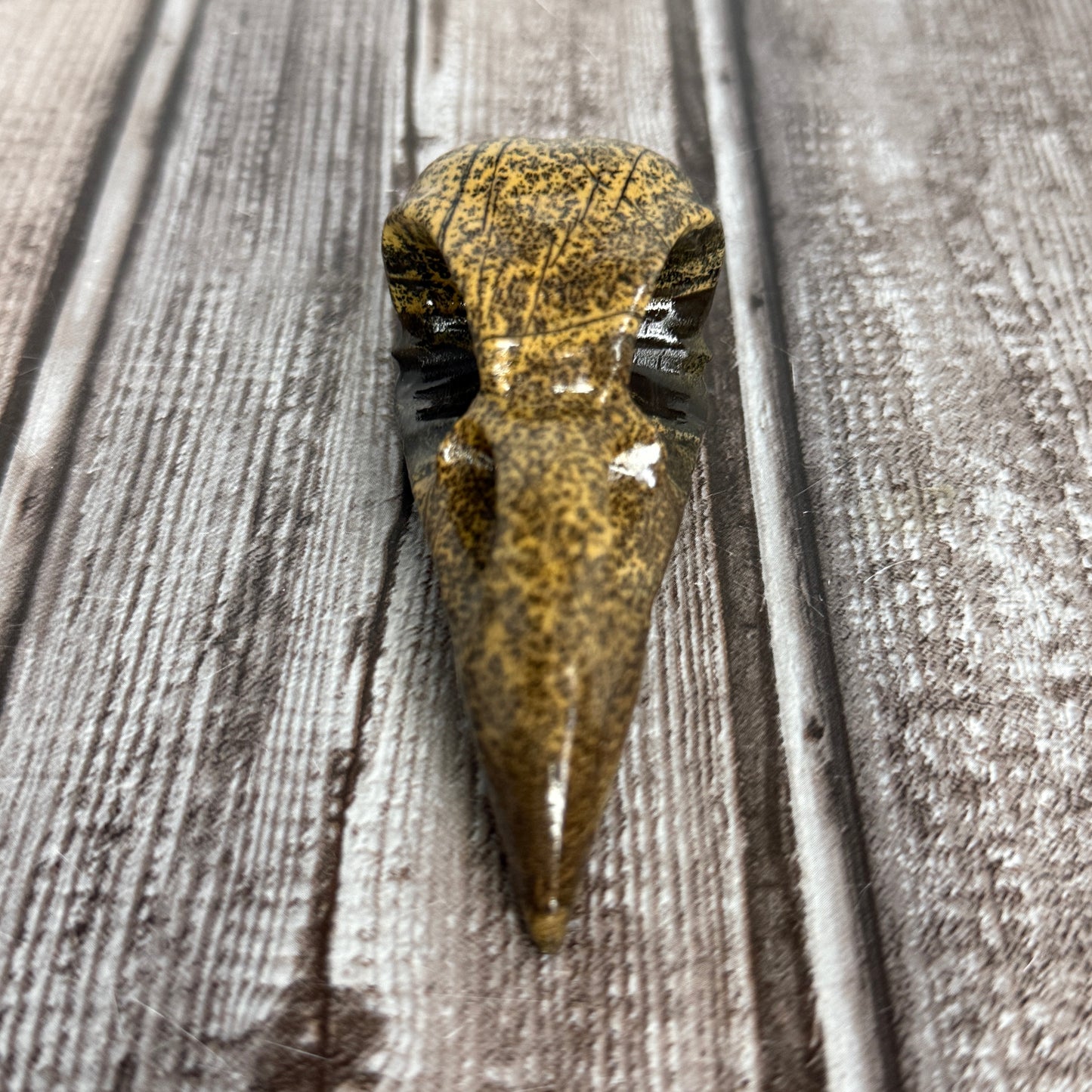Picture Jasper Raven Skull