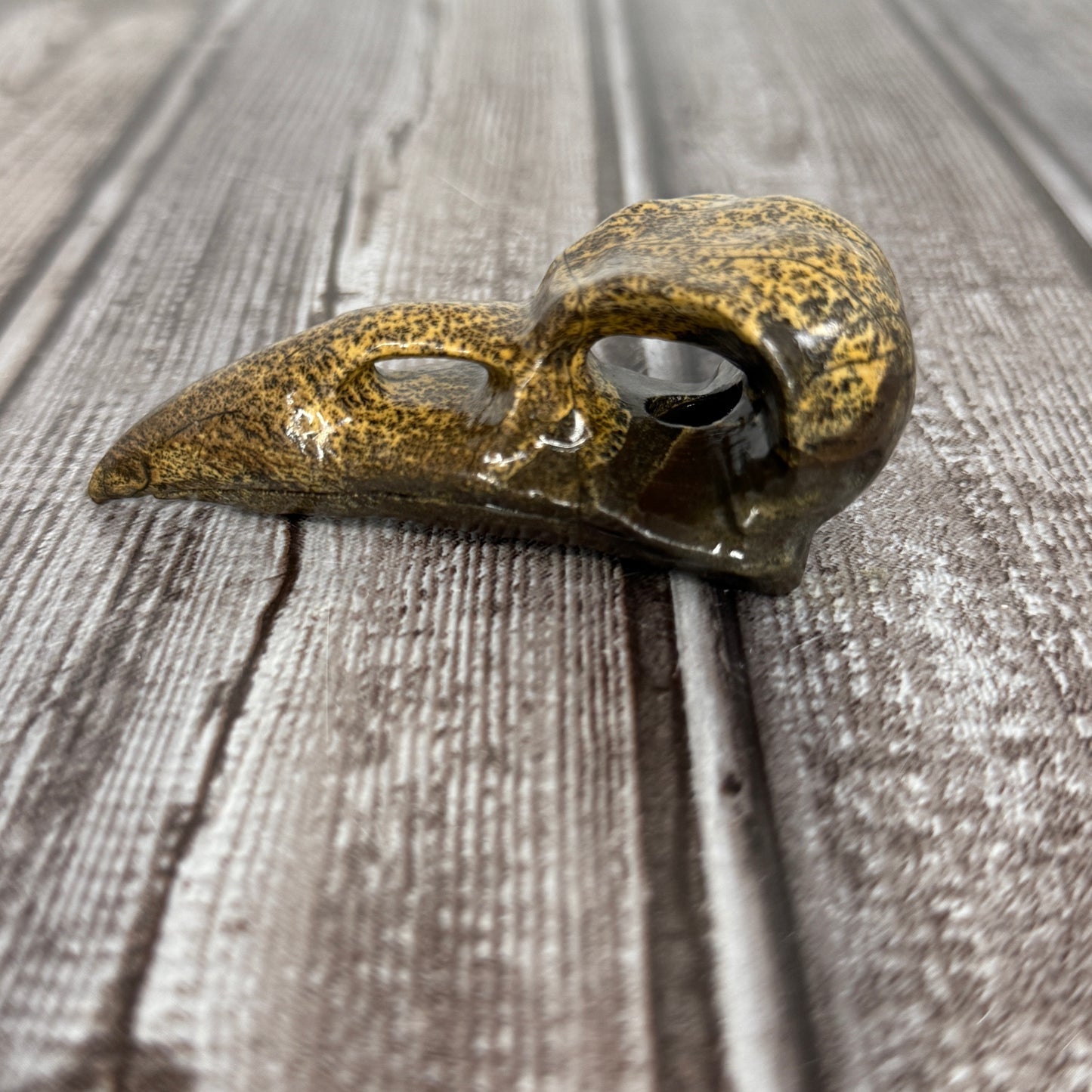 Picture Jasper Raven Skull