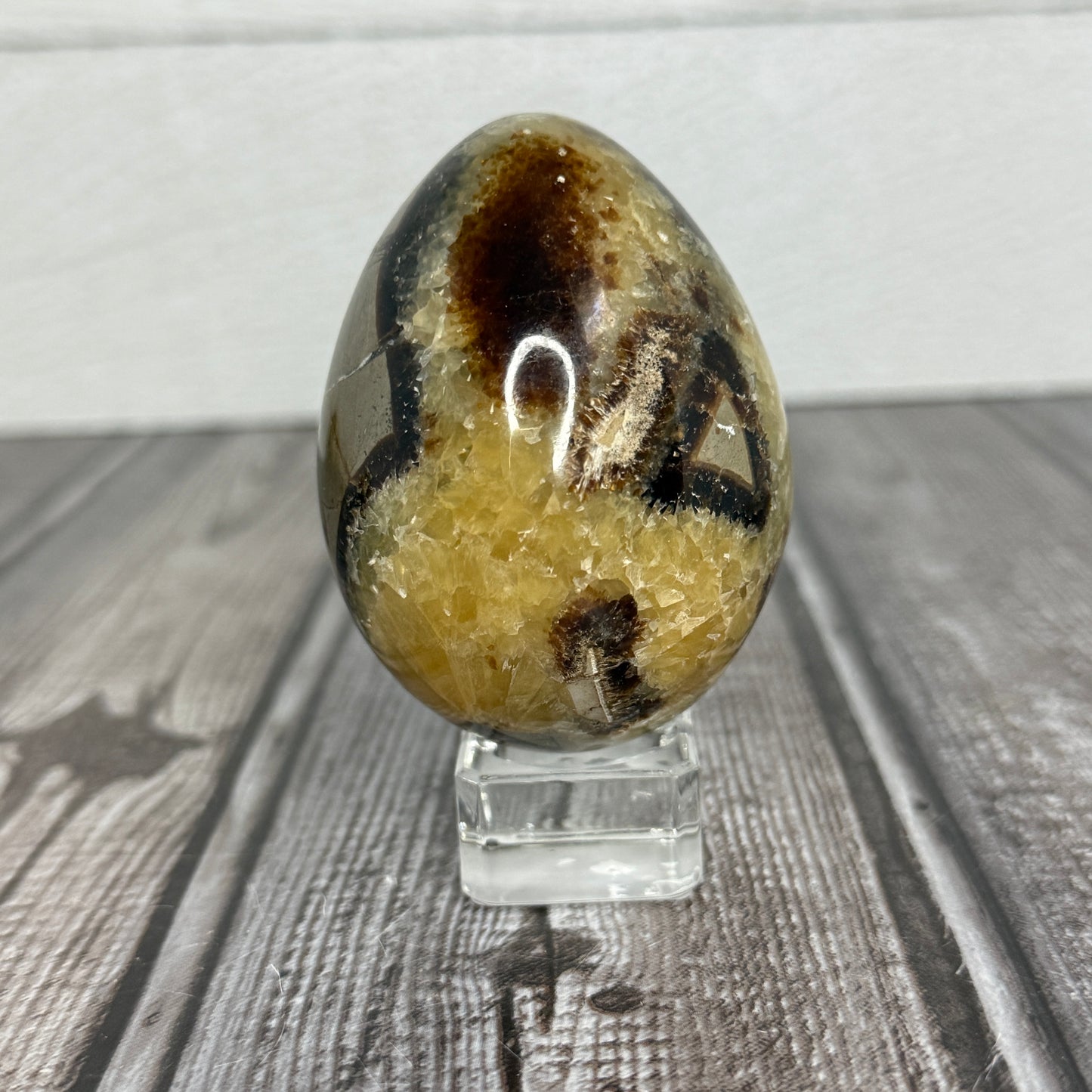 Septarian Egg
