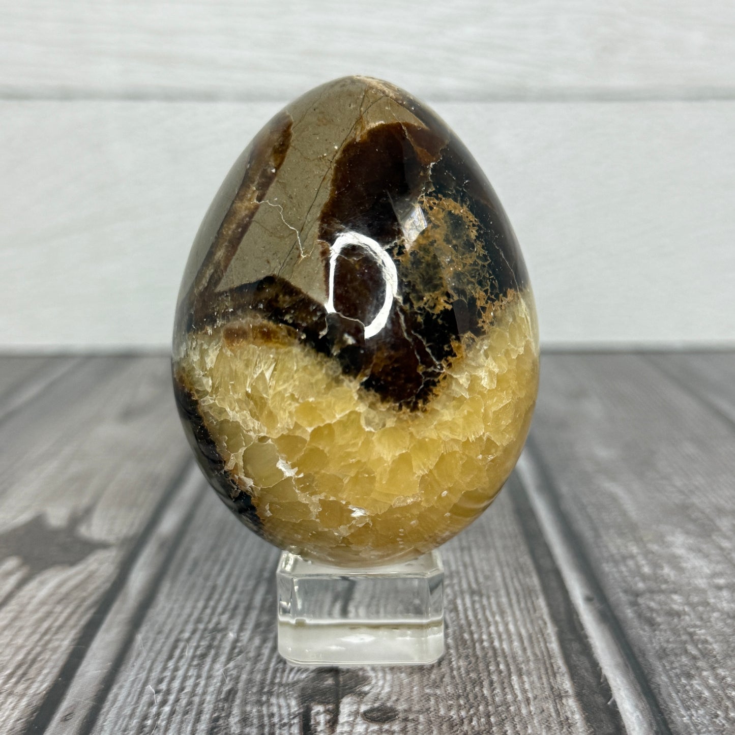 Septarian Egg