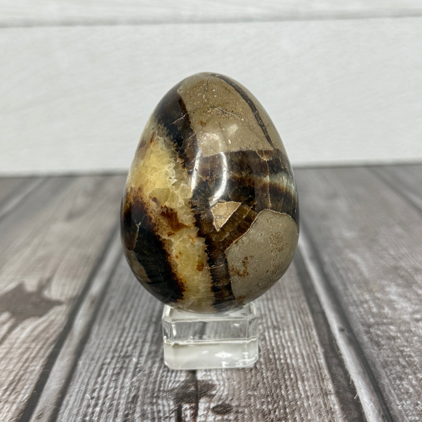 Septarian Egg