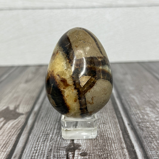 Septarian Egg