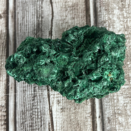Velvet Malachite